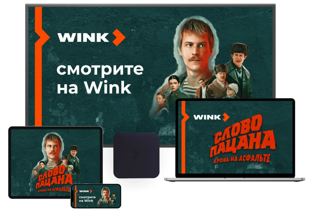 Wink Ростелеком в село Алпатьево